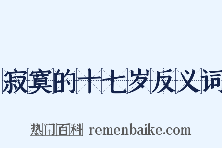 寂寞的十七岁反义词是什么意思的图片